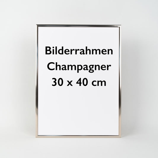 Bilderrahmen 30x40 Champagner